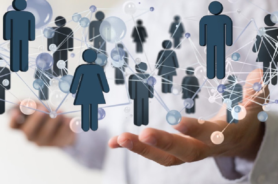 BizOp Business Opportunity Leads